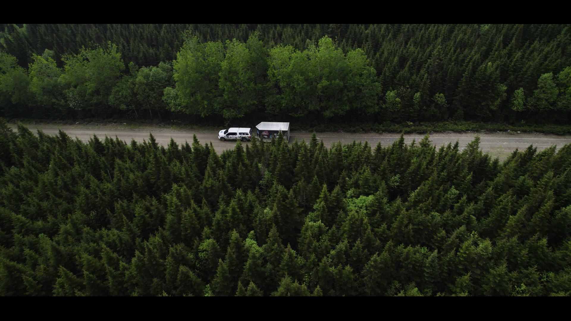 New Brunswick Bear Hunting episode thumbnail
