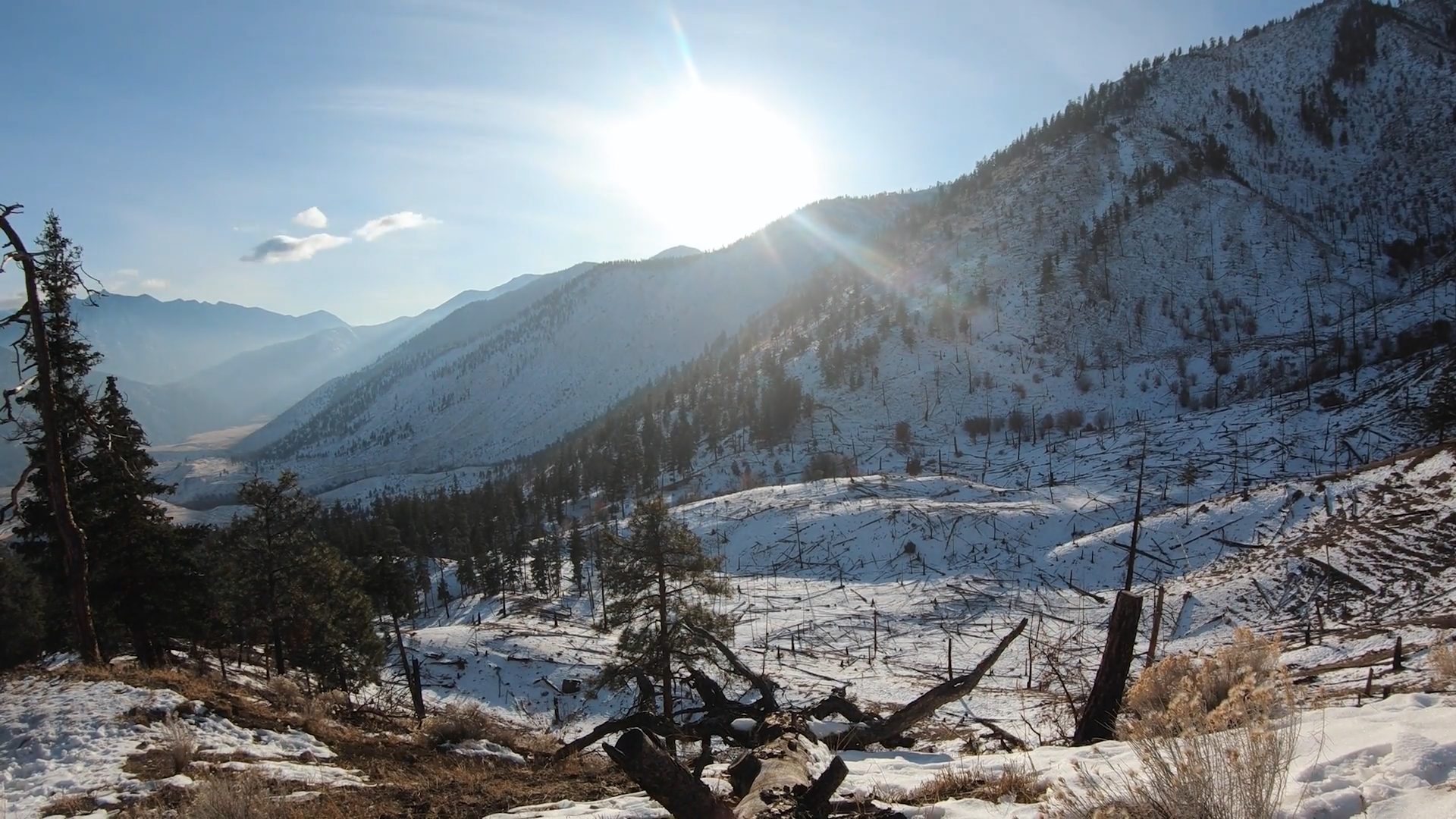 Mountain Mule Deer Hunting - Part 1 episode thumbnail