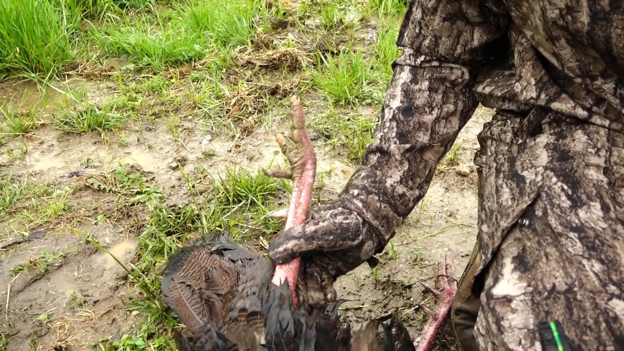 Hunting Eastern Turkeys episode thumbnail