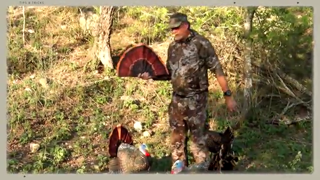Tip: Find Success with Turkey Decoys episode thumbnail