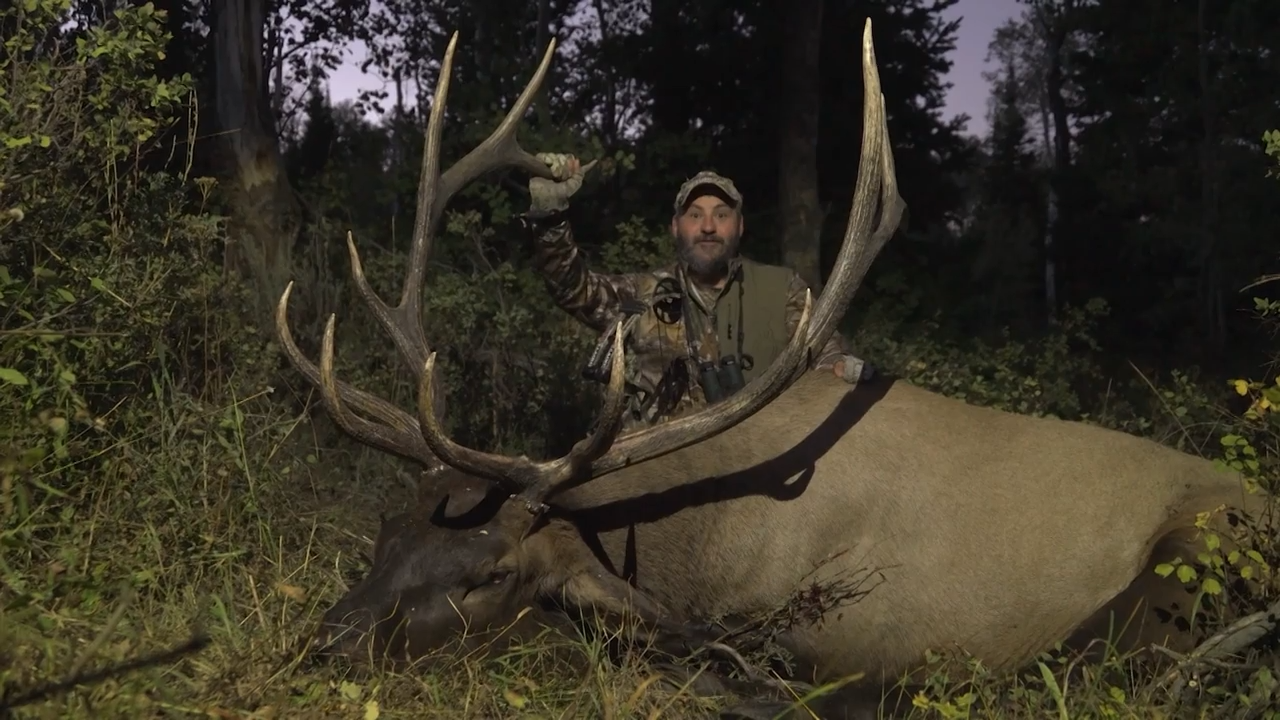 The 5 Year Bull Elk episode thumbnail