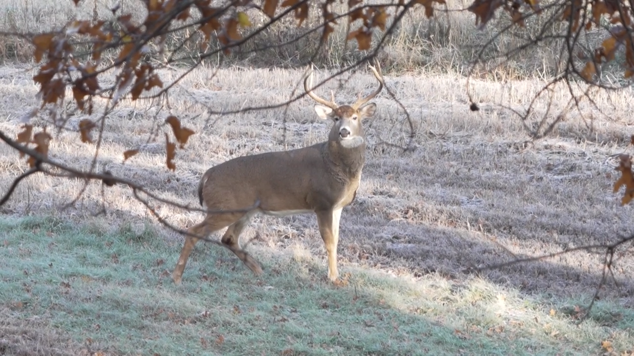 Dean's Deer Camp, All Together! episode thumbnail