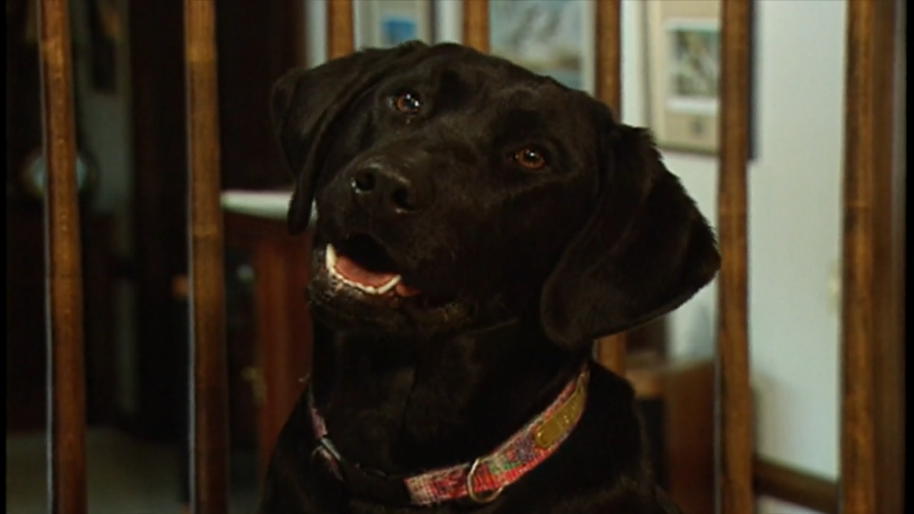 Ravens Memorial Show episode thumbnail