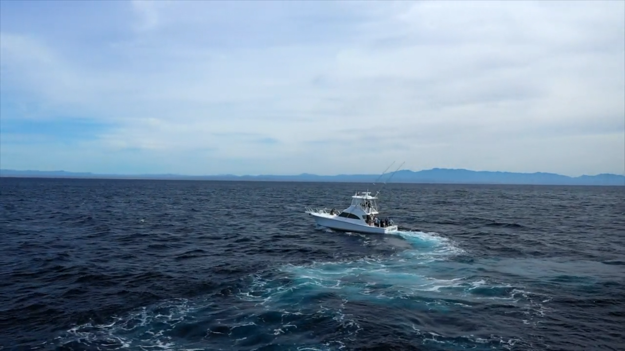 Beyond Borders episode thumbnail