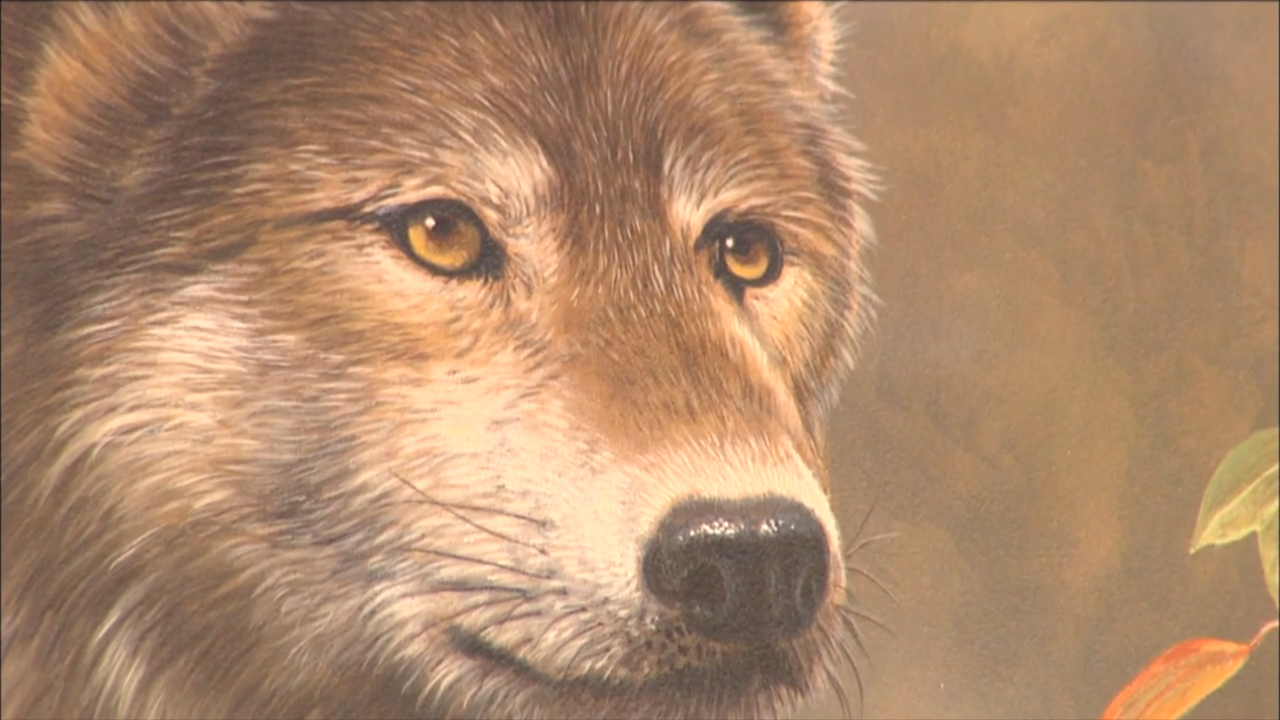 Art in the Outdoors episode thumbnail