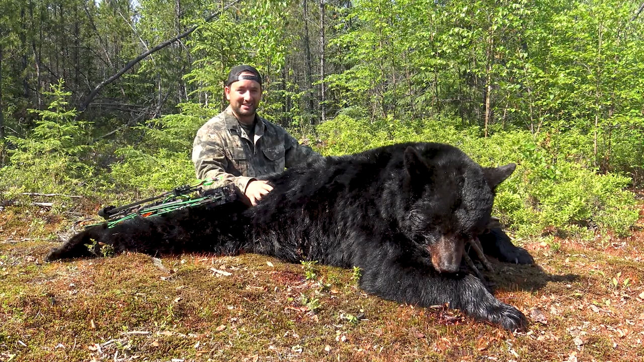 Chasing Shadows: The Bear Hunt episode thumbnail