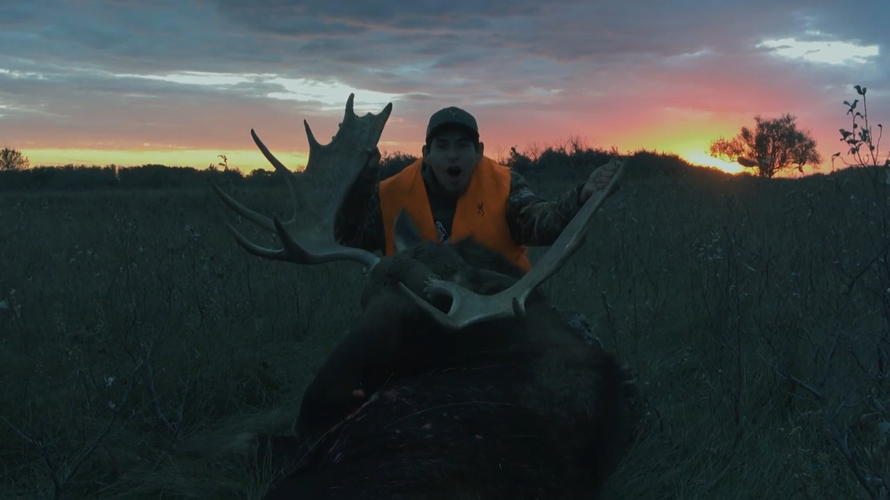 Bull Dreams episode thumbnail