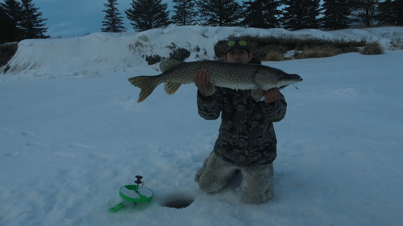 Manitoba Ice Monsters episode thumbnail