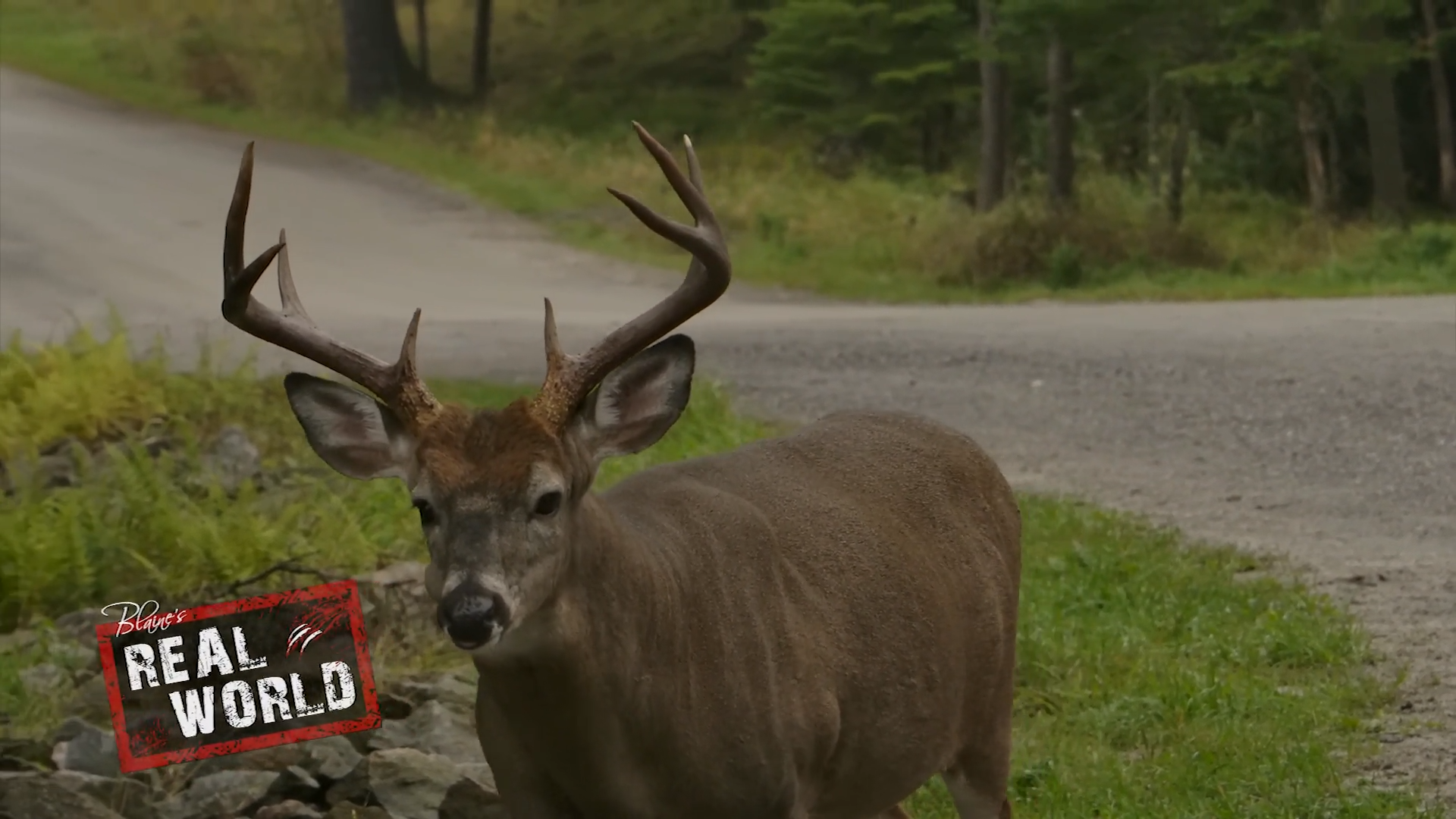 One Chip Challenge episode thumbnail