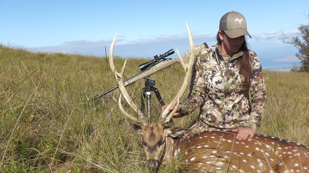 Maui - Part 2 episode thumbnail