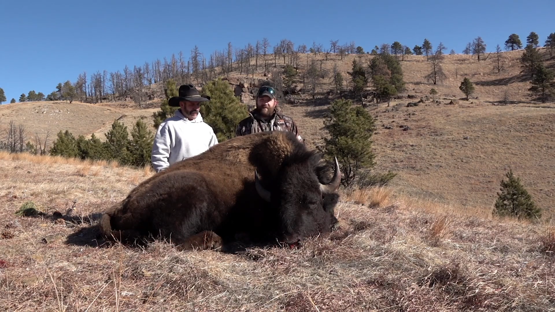 South Dakota Bison and New Zealand Mix episode thumbnail