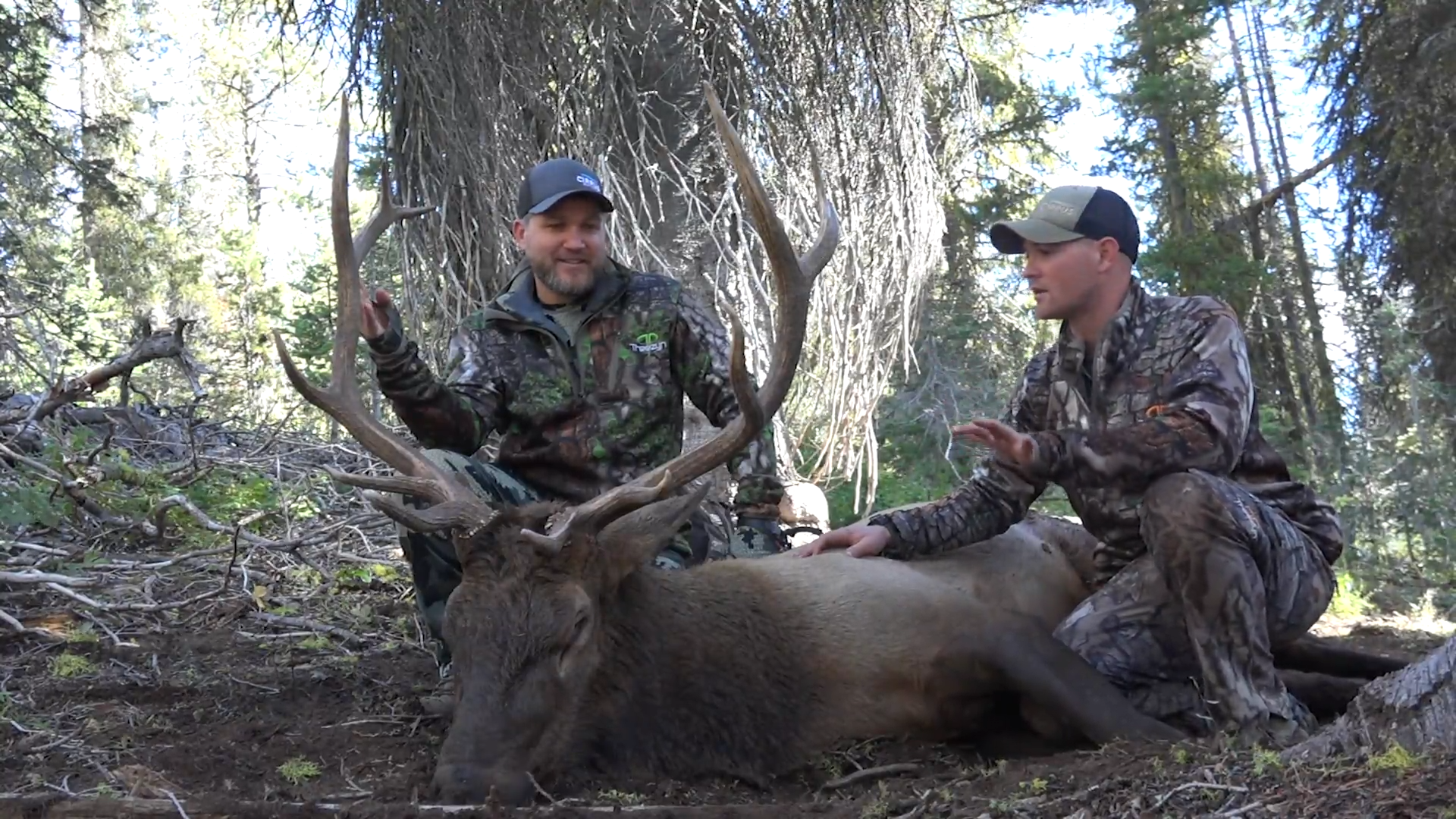 Idaho Elk episode thumbnail