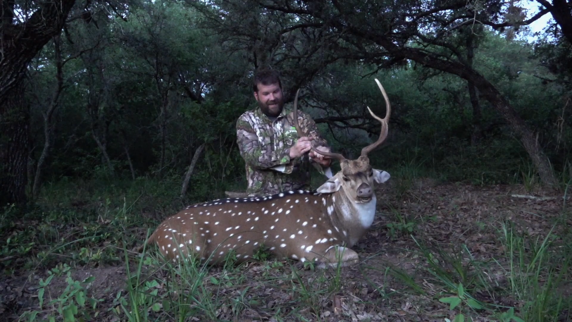 Texas Axis Deer, Hogs and Blackbuck episode thumbnail