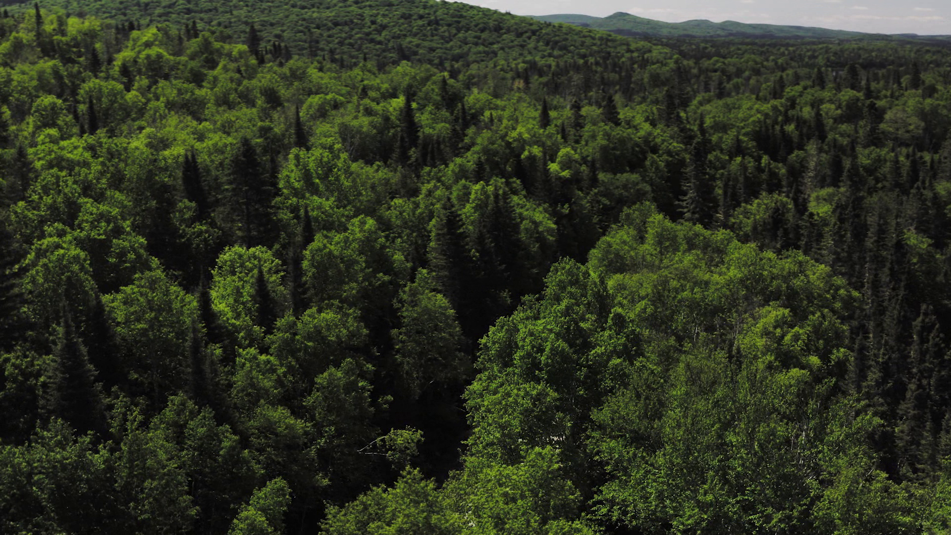 The Legacy episode thumbnail