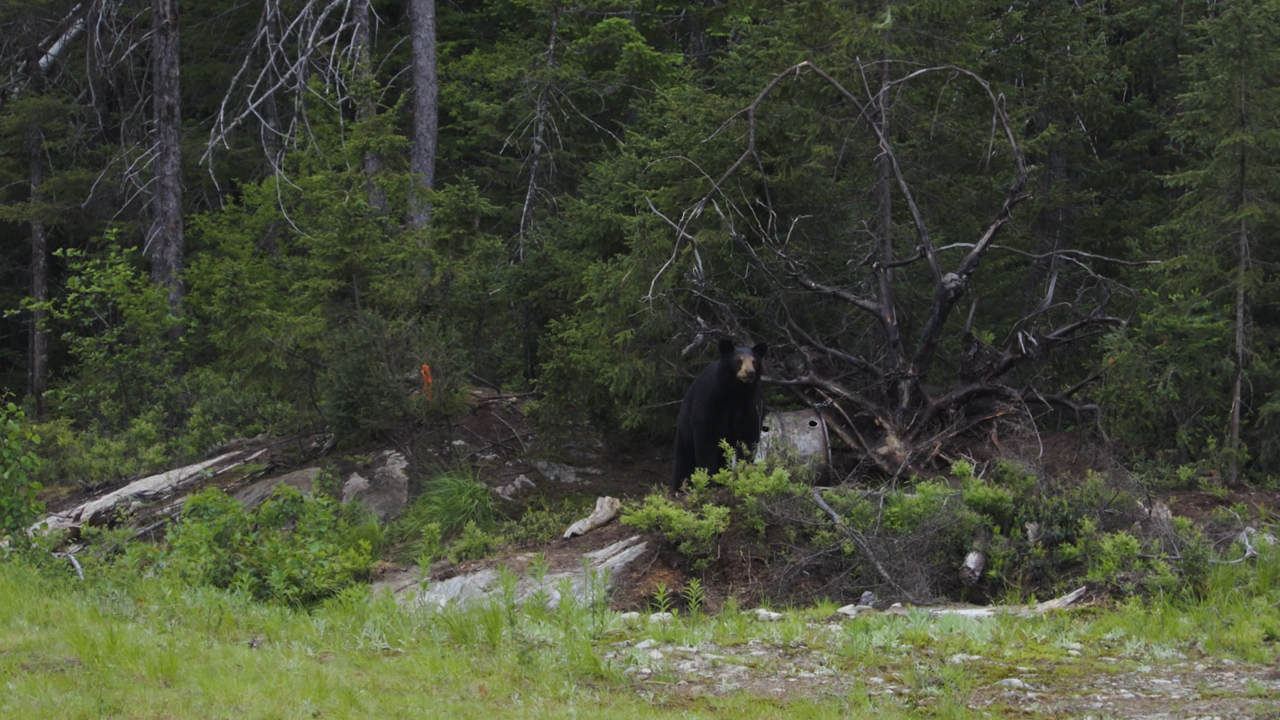 A Familiar Feeling episode thumbnail