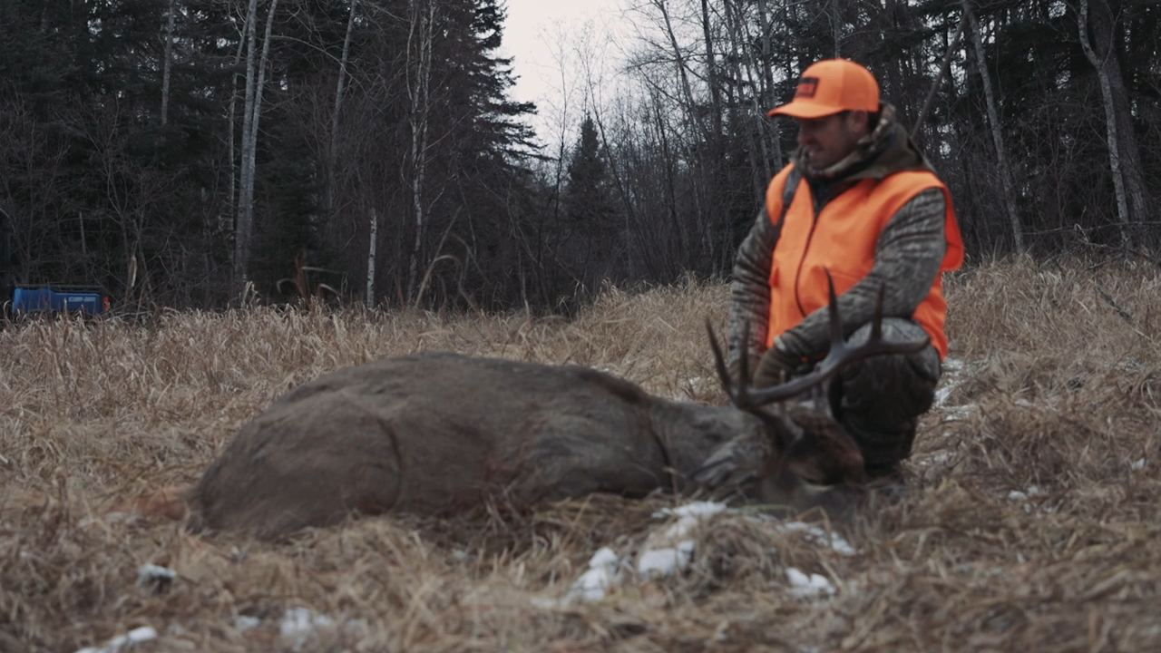 The Voices of Nature episode thumbnail