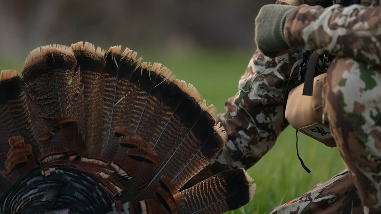 Eastside Birds / Tough Crowd episode thumbnail