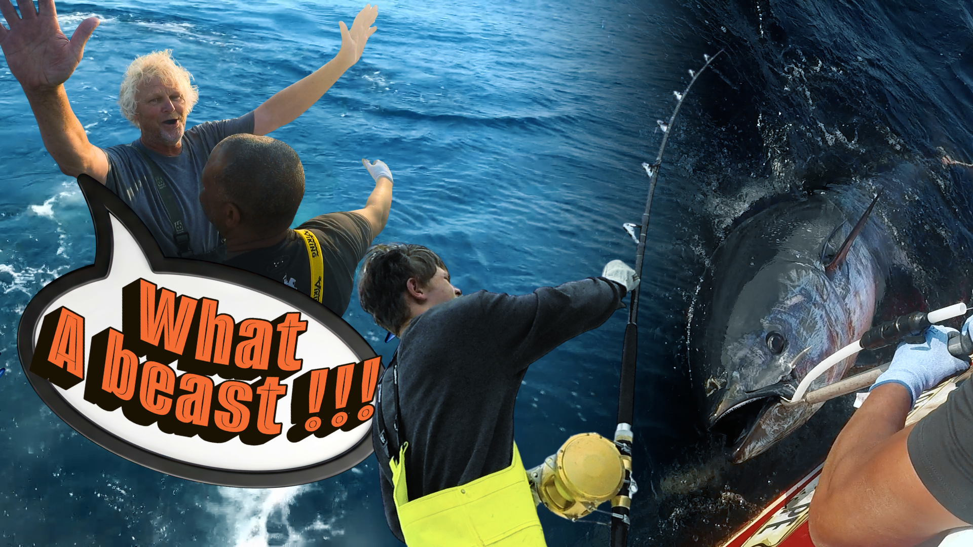 Three years to Blue Gold episode thumbnail