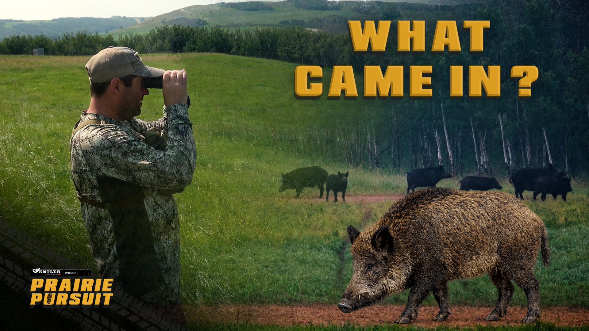 Hog Wild episode thumbnail