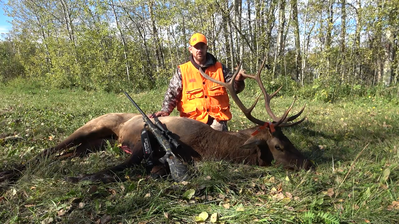 Chasing Bugles, Battling Wind episode thumbnail