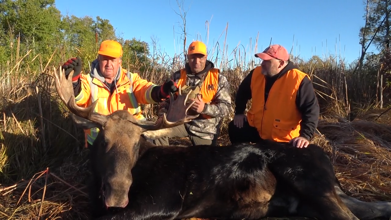 Firsts in the Field episode thumbnail