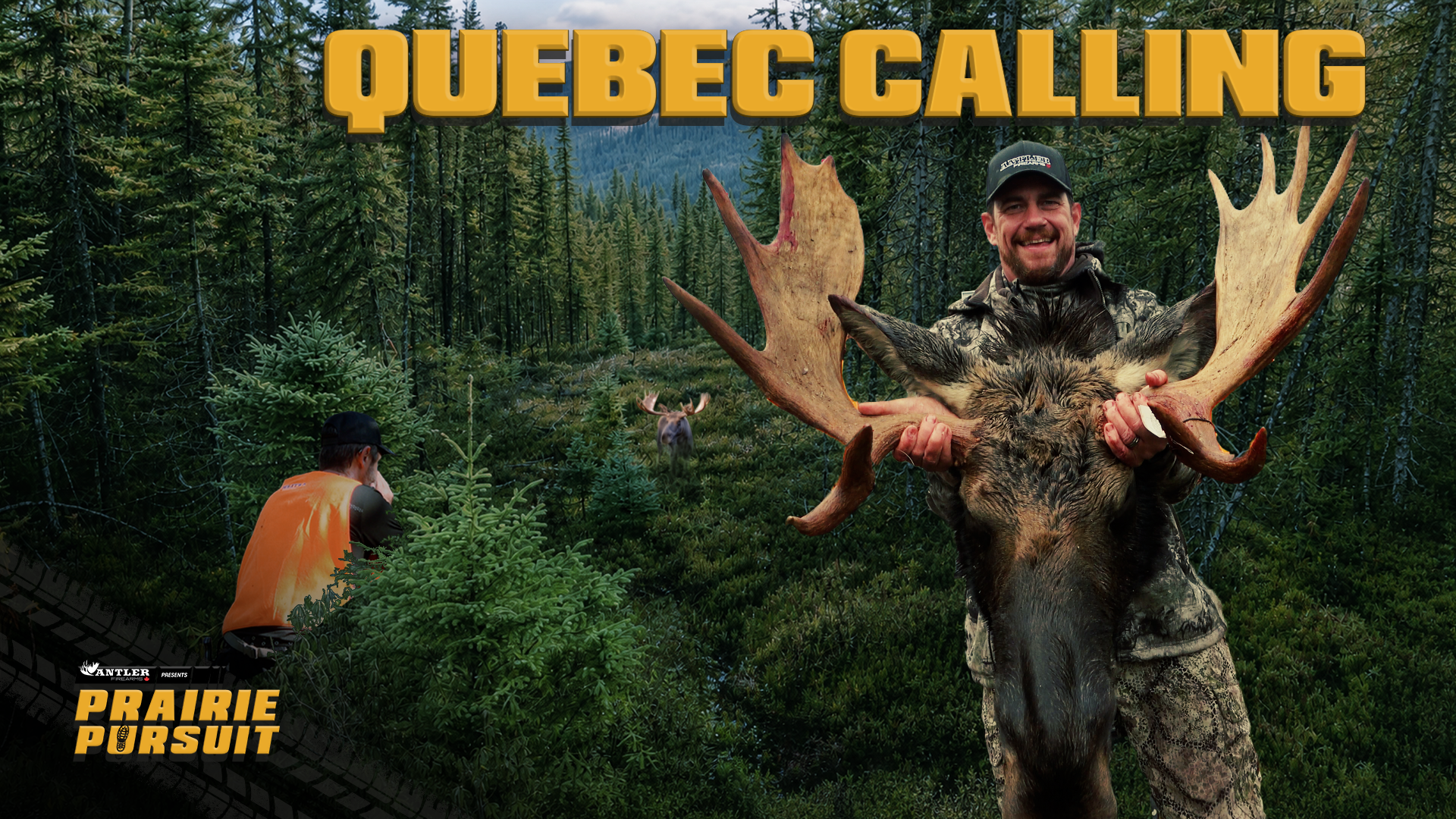 Forest walks and Moose talk episode thumbnail