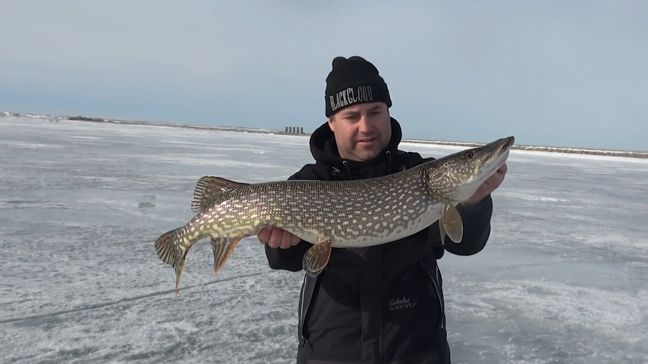 Fish On! episode thumbnail