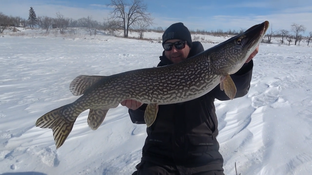 Best of The Season episode thumbnail