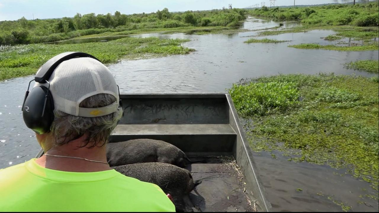 Fast and Furious episode thumbnail