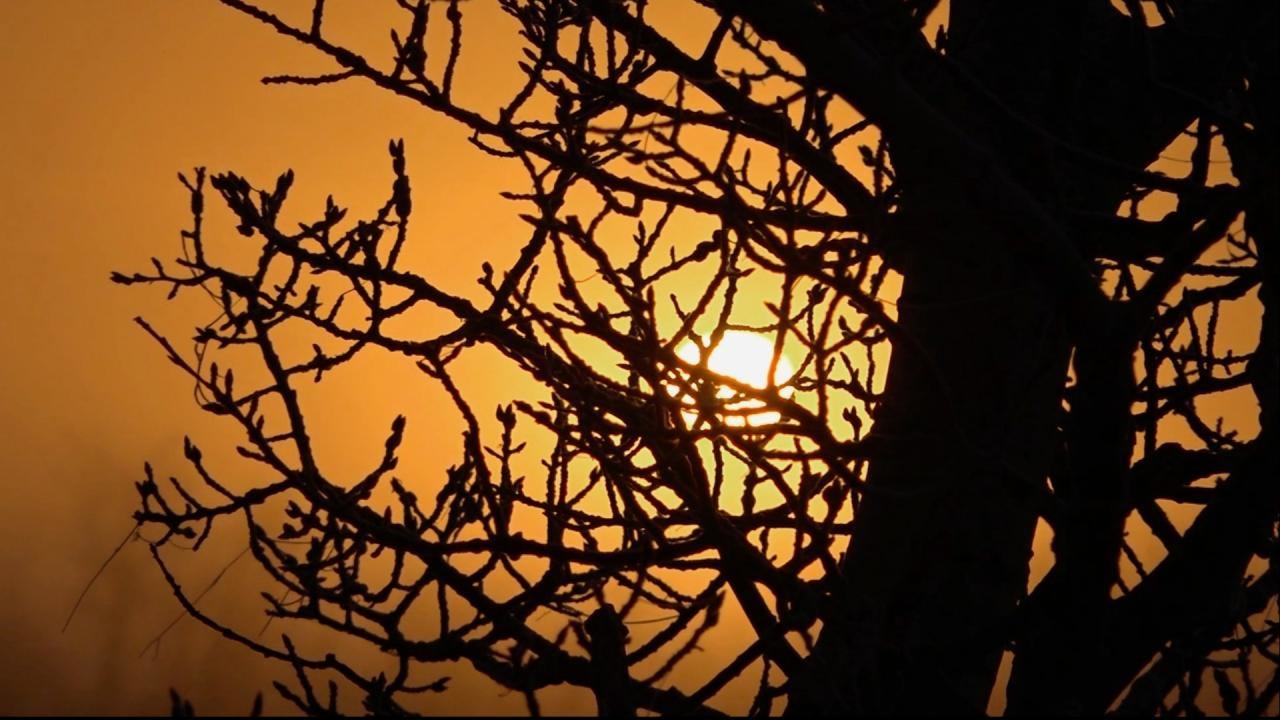 Nitro episode thumbnail