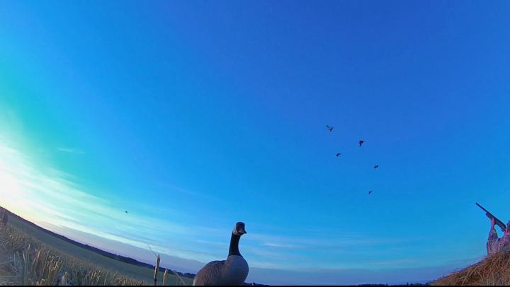 Silver Lining episode thumbnail