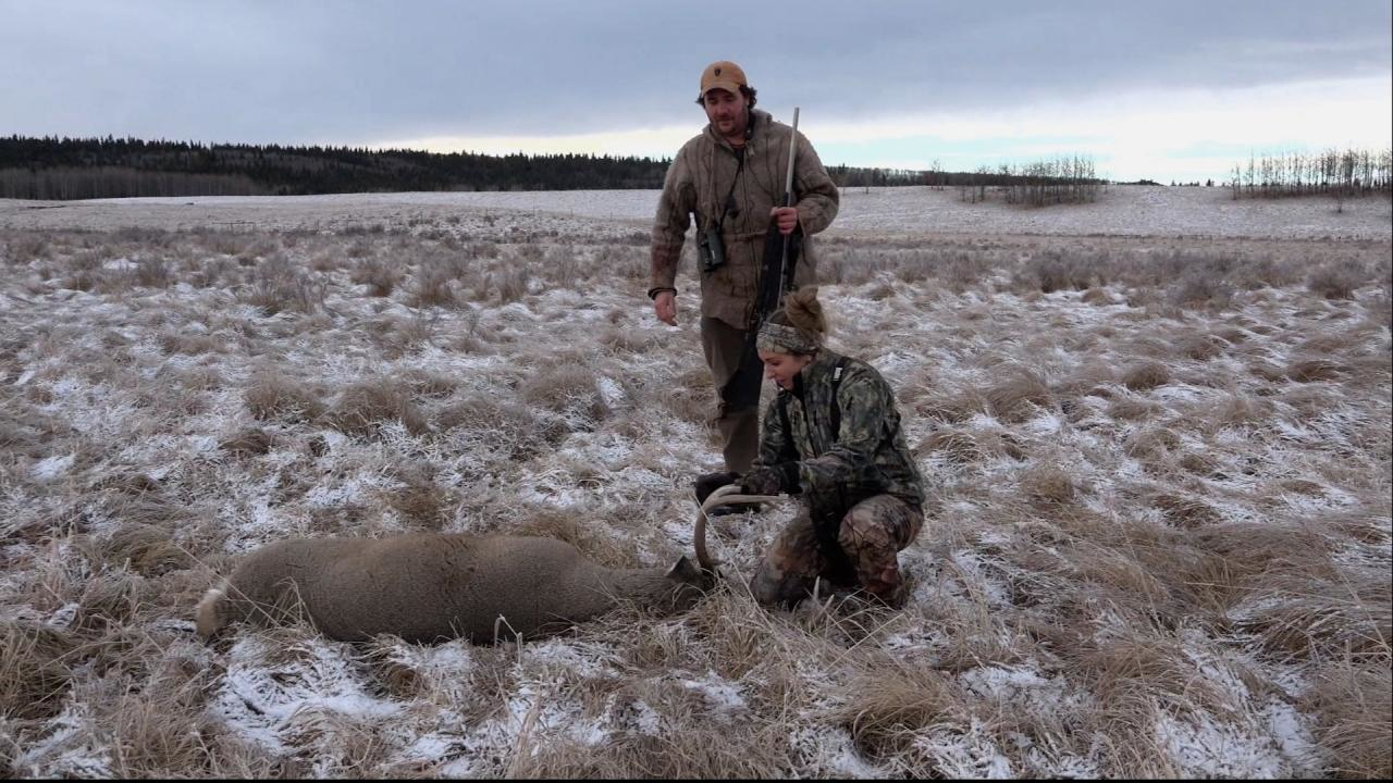 Kitt Connection episode thumbnail