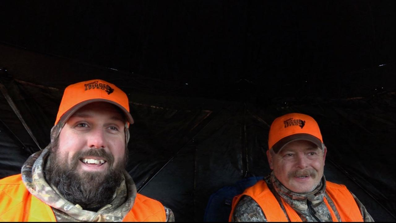 Fur and Feathers episode thumbnail