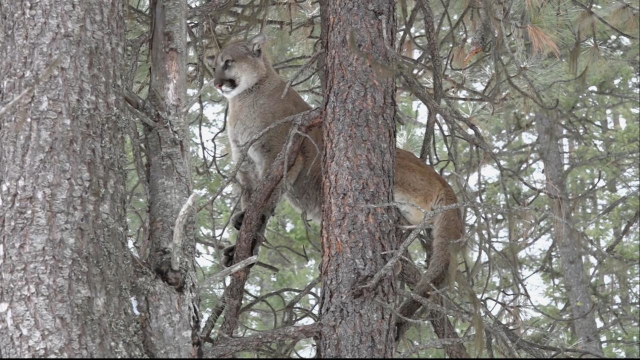 Bay'em Up episode thumbnail