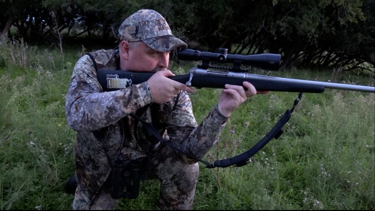 Violetas Boars episode thumbnail