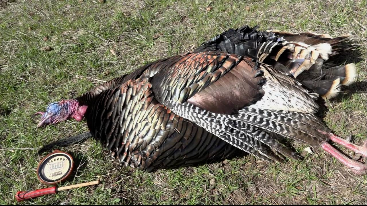 That's a First episode thumbnail