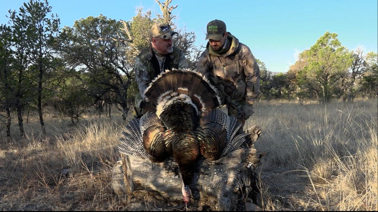 Goulds Galore episode thumbnail