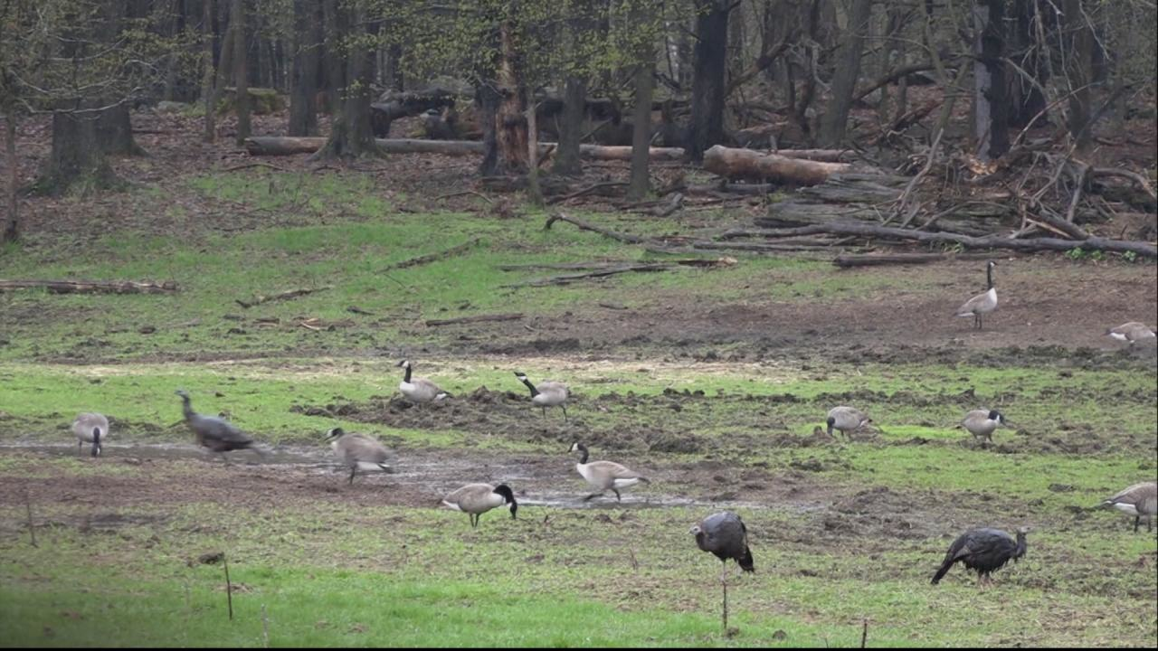 Testing Tegan episode thumbnail