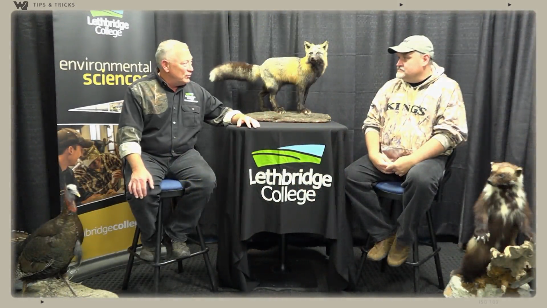 Problem Bears Need to Be Terminated not Moved episode thumbnail