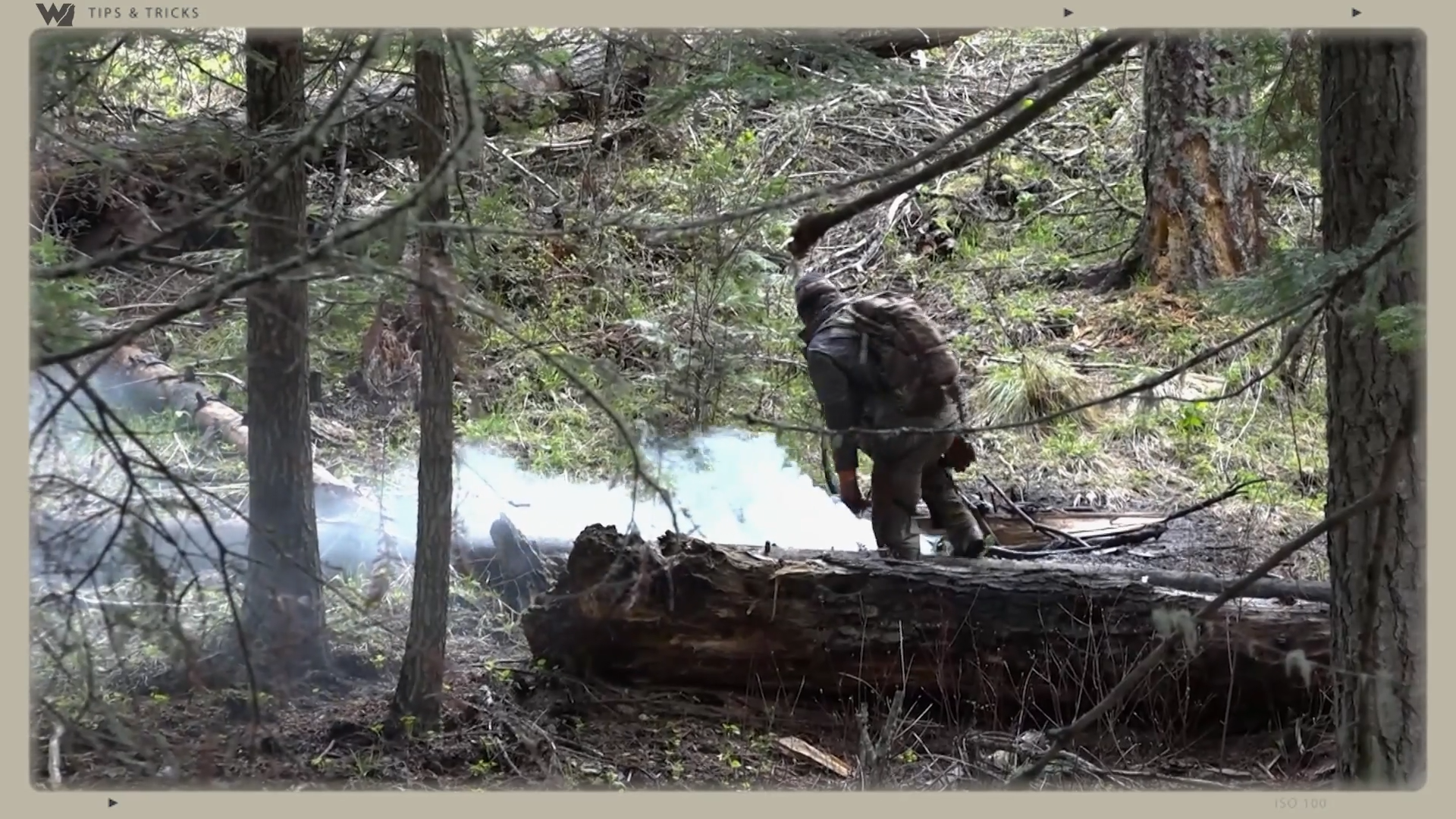 How to Sweeten a Bear Spot episode thumbnail