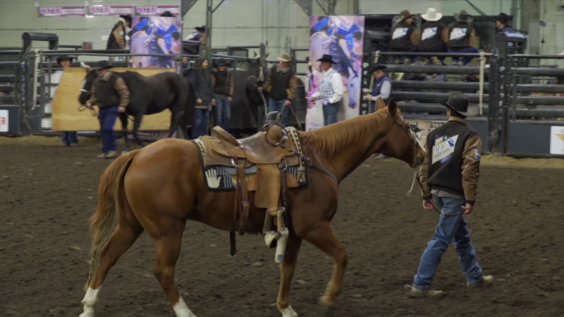 CCA - Performance 2 episode thumbnail