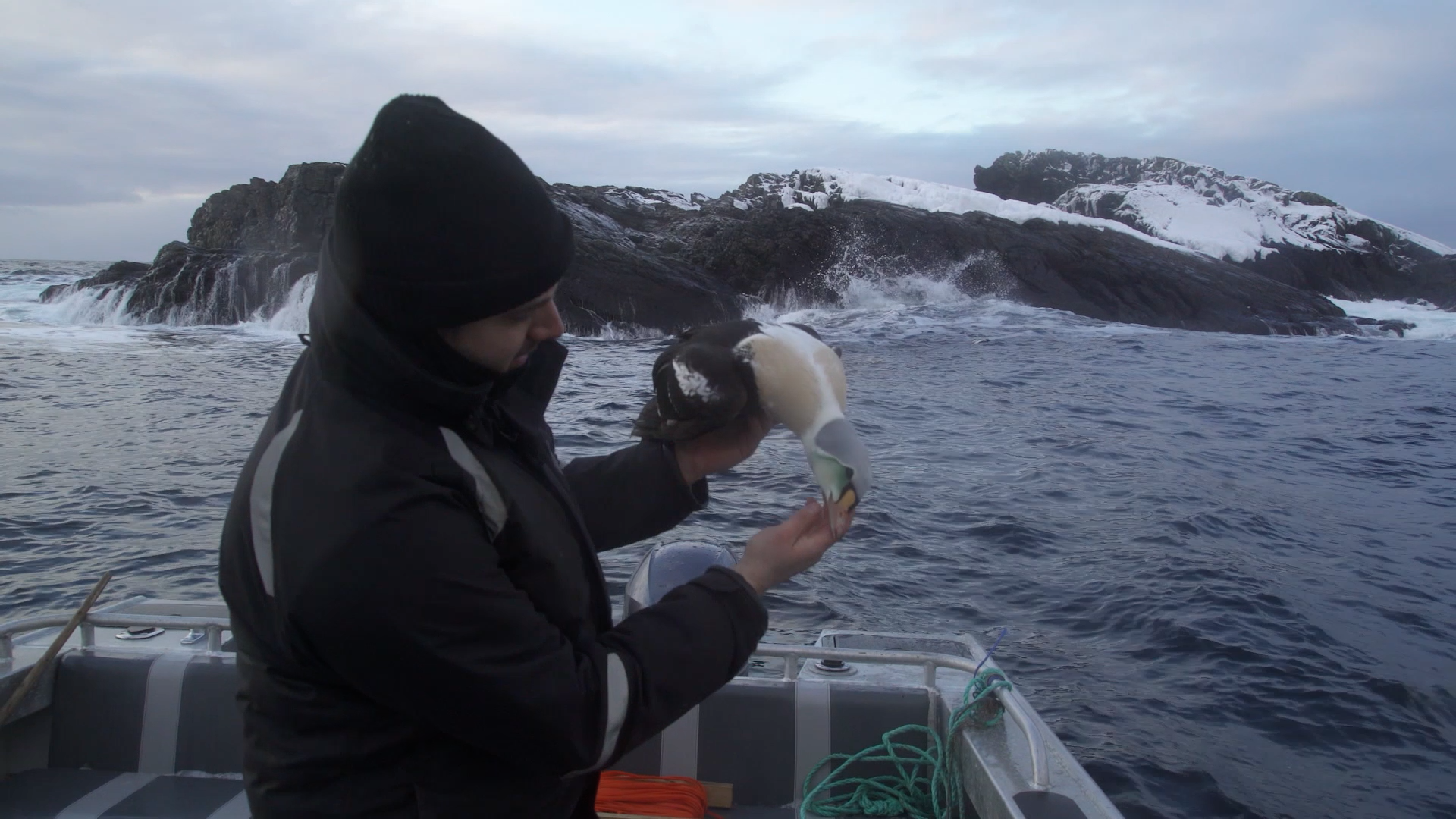 Down East Expedition - Sea Ducks, Part 1 episode thumbnail