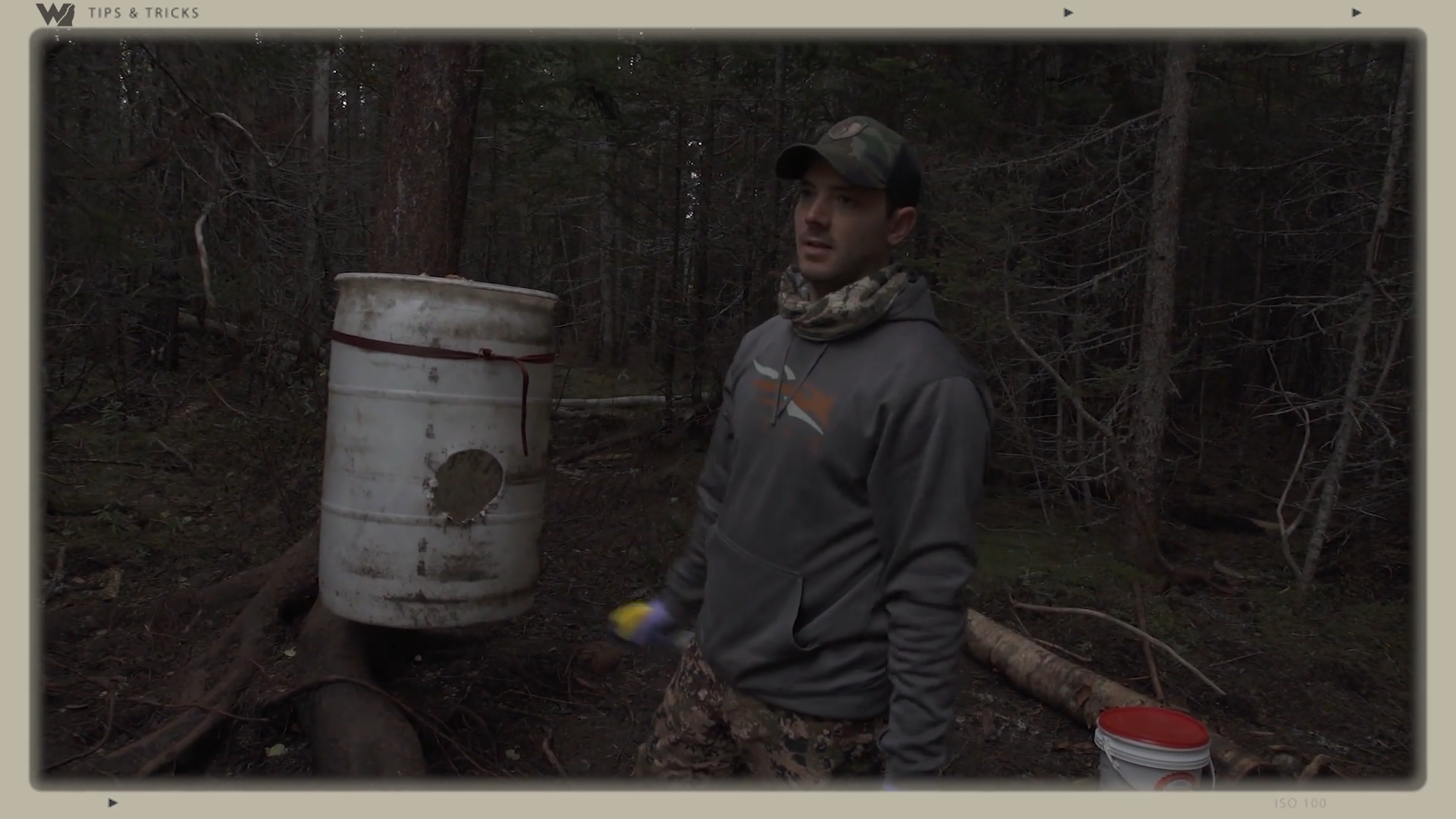 Bears Smell This Scent from Far Off episode thumbnail