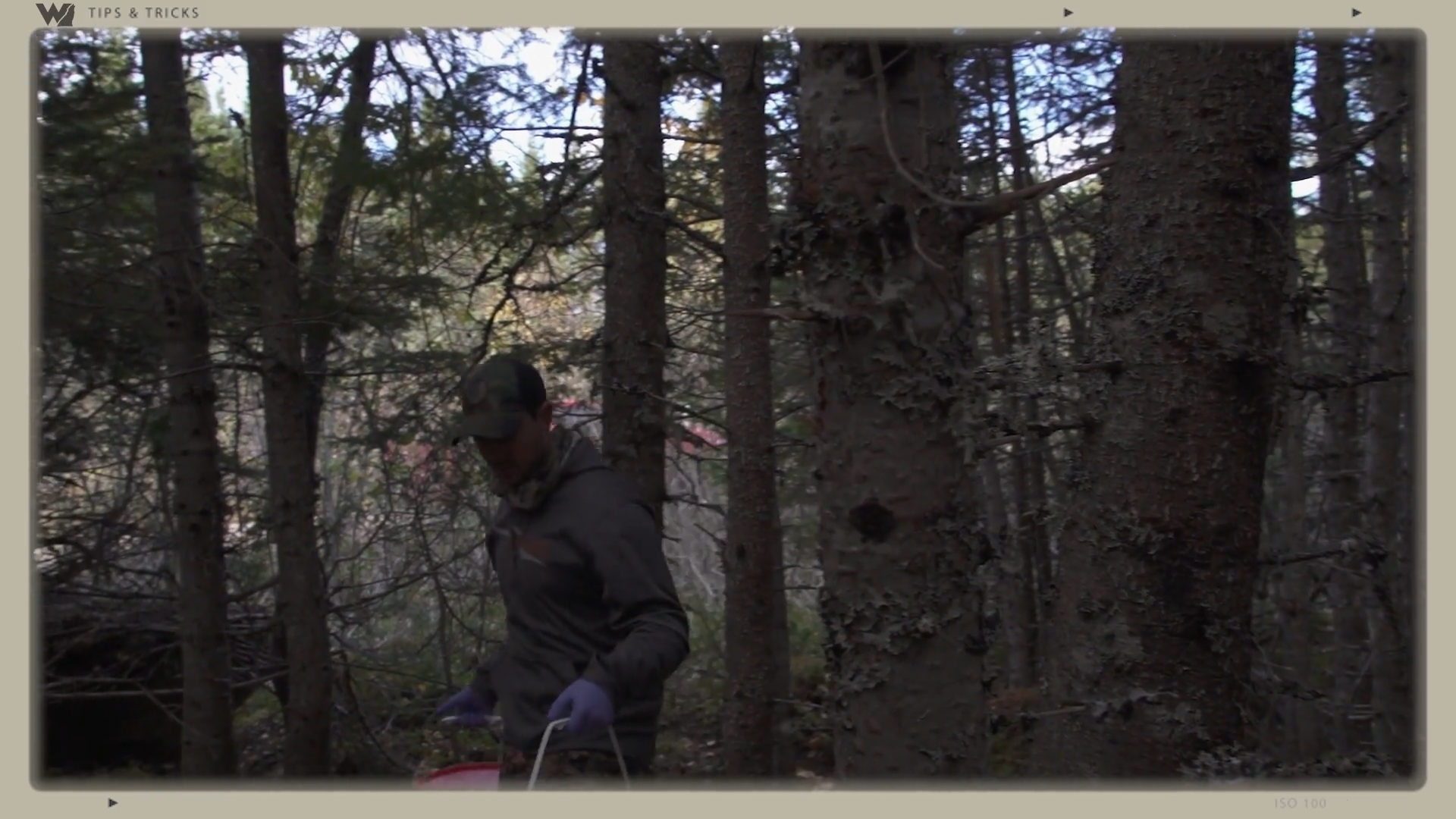 Safety Tip for Bear Baiting episode thumbnail