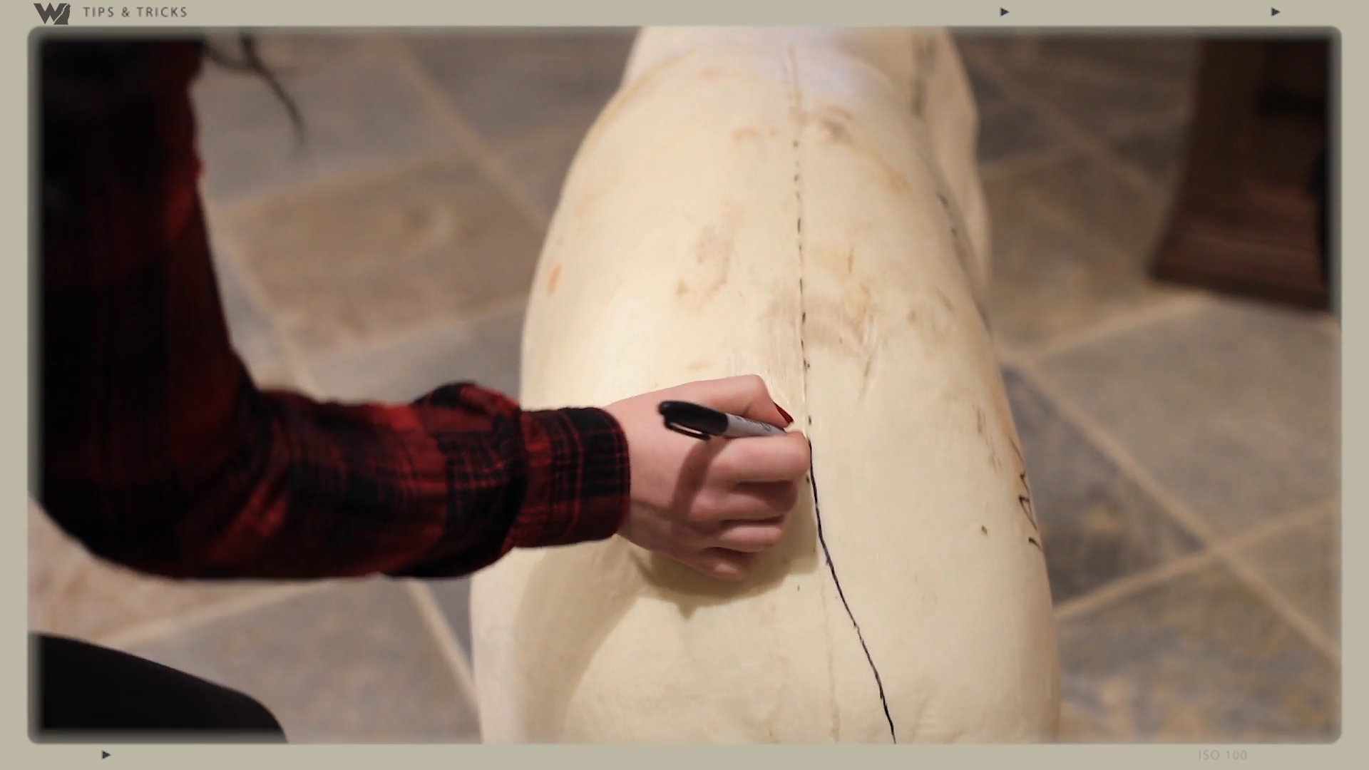 Skinning a Bear for a Life-Sized Mount episode thumbnail