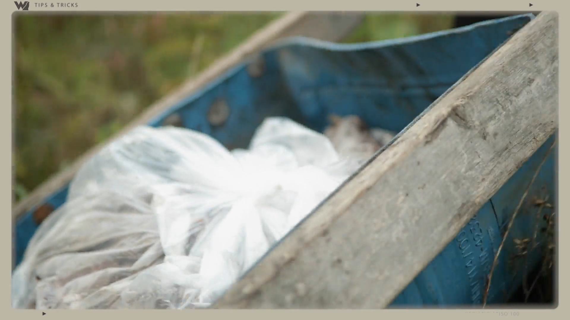 The Key to Bear Hunting Success episode thumbnail