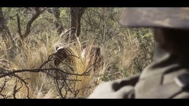 The Roar: Antler with Arrow episode thumbnail