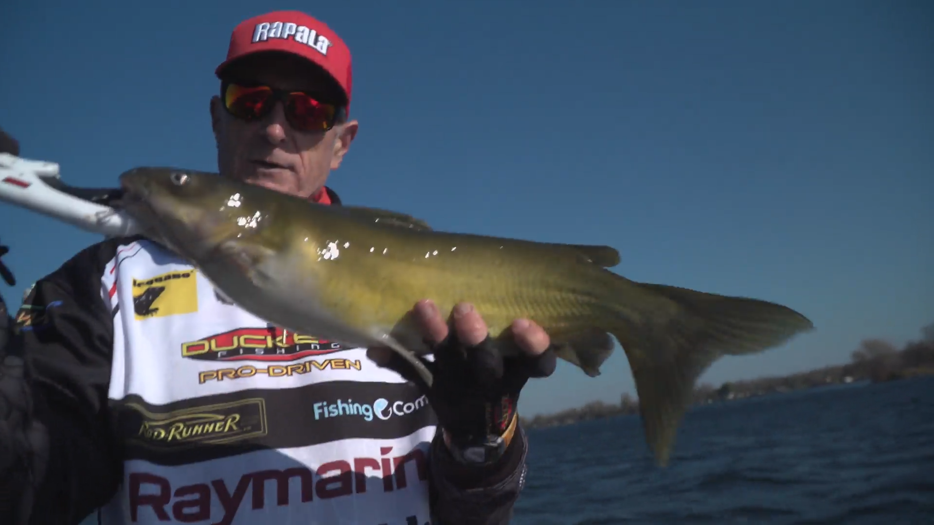 Channel Catfish & Perch episode thumbnail