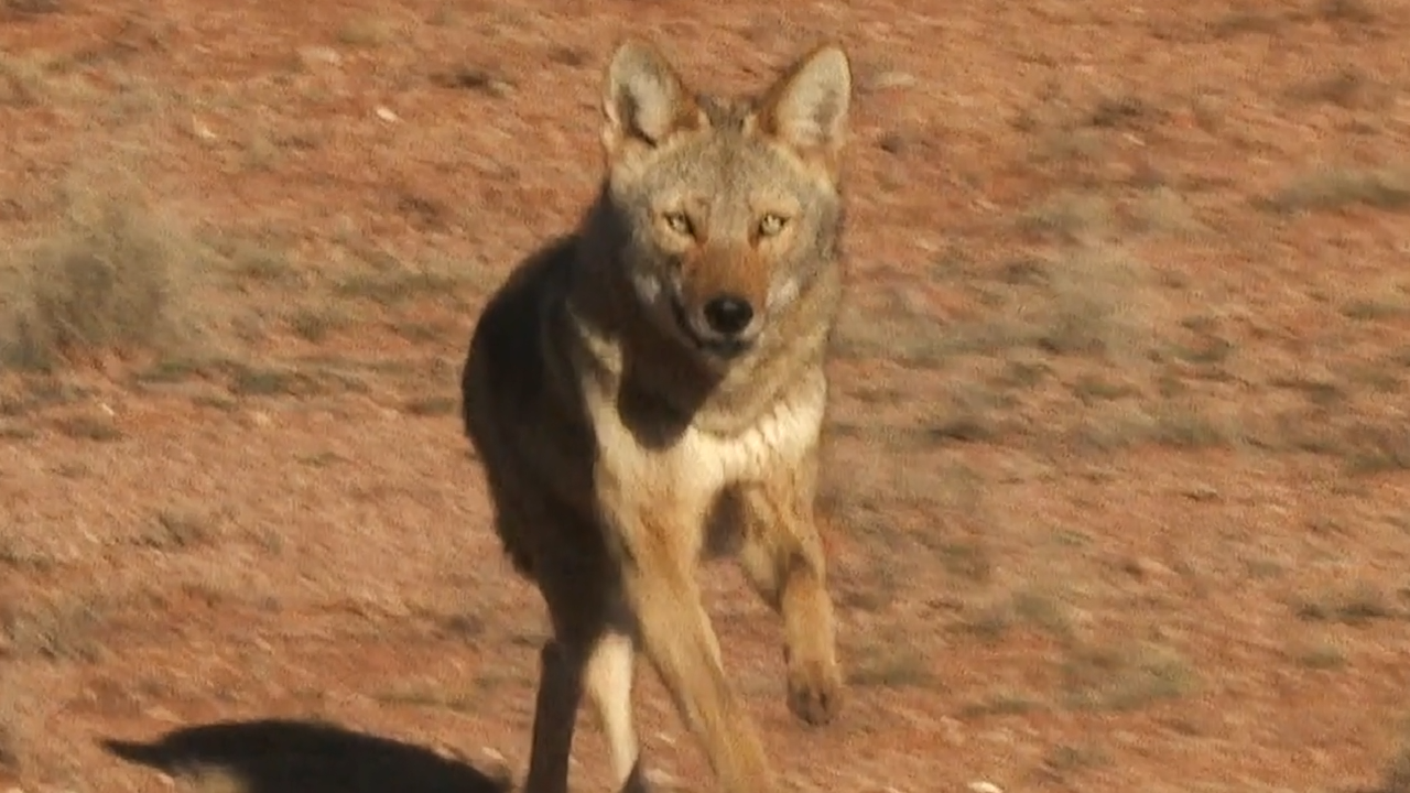 Sneak & Destroy episode thumbnail