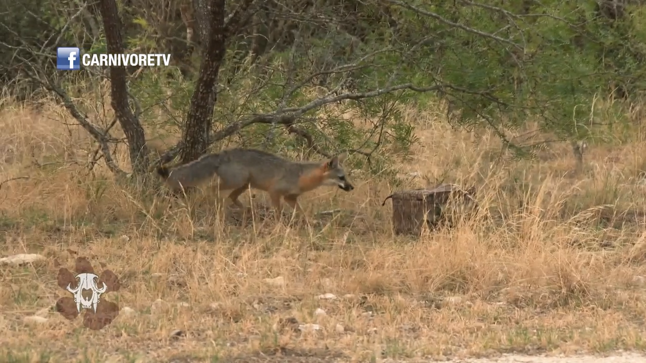 Freq Attack - Part 1 episode thumbnail